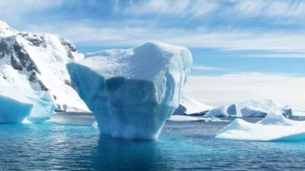 Científicos hallaron que el Ártico se quedará sin hielo marino y es preocupante para la comunidad
