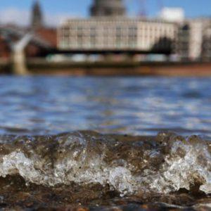 Científicos alertan por la alta contaminación de la bacteria E.coli en el río Támesis