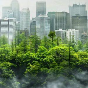 Árboles líquidos en Buenos Aires, ¿de qué se trata esta innovadora tecnología que mejora la calidad del aire?