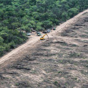 Día de la Tierra: En 25 años, Argentina deforestó el equivalente a una provincia entera, según Greenpeace