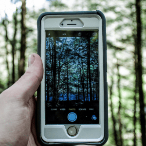Lanzan una iniciativa para potenciar la ciencia y la innovación en el sector forestal argentino