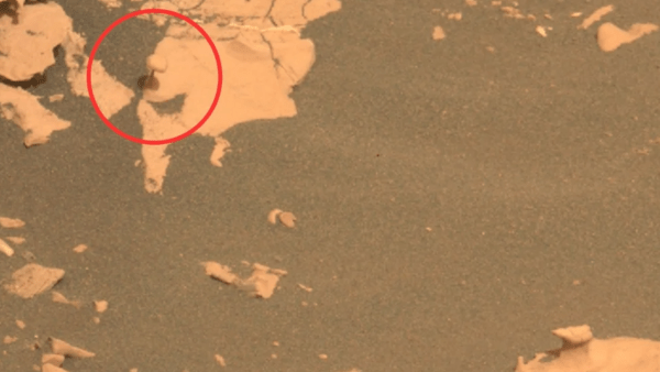 La NASA encontró un hongo en Marte con el rover Perseverance: cómo se formó