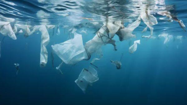 Un nuevo reporte científico advirtió que los plásticos tienen 4200 sustancias peligrosas