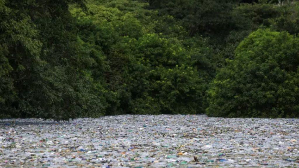 Un nuevo estudio reveló cuáles son las empresas que más contaminan con plástico