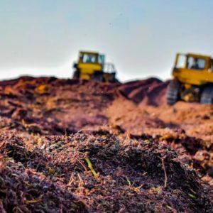 Una empresa mendocina recicla 200 mil toneladas de restos de poda y que luego se transforma en energía y abono
