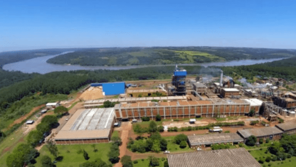 Multan a una importante empresa papelera por contaminar el río Paraná