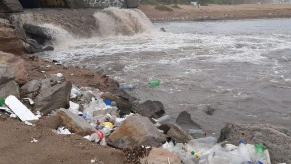 Proponen una campaña de concientización en Mar del Plata: “Toda la basura llega al mar”