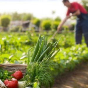 Un líder en el sector agrícola anunció sus nuevas Prioridades de Sustentabilidad