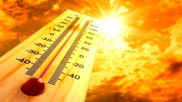 Un estudio confirmó que el verano de 2023 fue el más caluroso en 2000 años