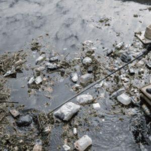 Proponen crear un juzgado municipal para faltas ambientales y de higiene urbana