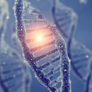 Hallaron un descubrimiento científico que revela que el ADN humano se está modificando