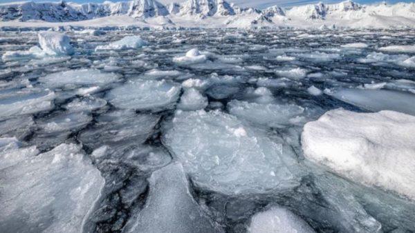 Según estudios, el hielo en la Antártida se está comportando de una manera distinta nunca antes visto