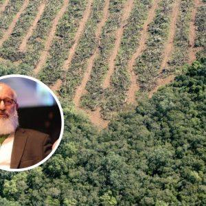 Acusan al holding de Eduardo Elsztain de deforestar tierras similares al tamaño de Madrid