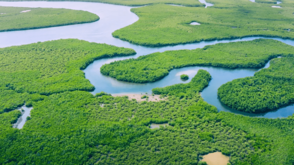 La NASA reveló la cantidad colosal de agua que circula cada año por todos los ríos del mundo