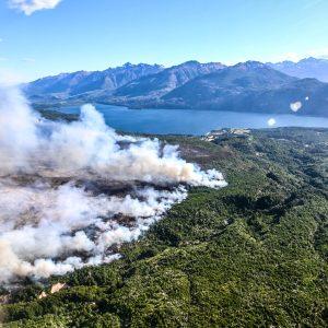 El Gobierno de Milei disolvió un fondo clave para la protección de los bosques nativos