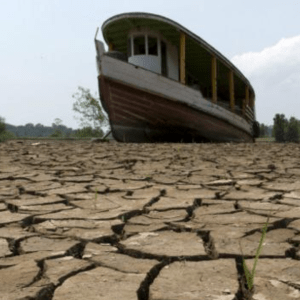 Casi 200 países acuerdan aumentar un 10% el presupuesto climático de la ONU