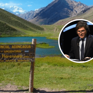 Ley Bases: por qué habilitaría la disolución de Parques Nacionales y cómo impacta en la protección ambiental