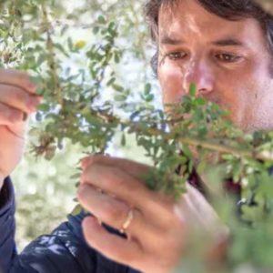 Reconocieron a un científico argentino por identificar qué impulsa la pérdida de biodiversidad