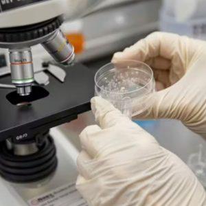 Desarrollaron un medicamento que permitirá el crecimiento de nuevos dientes para los humanos