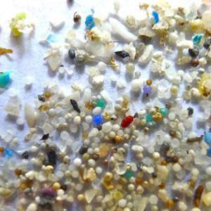 Revelaron muestras de semen con microplásticos, incluso en hombres sanos