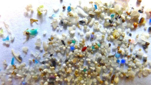 Revelaron muestras de semen con microplásticos, incluso en hombres sanos