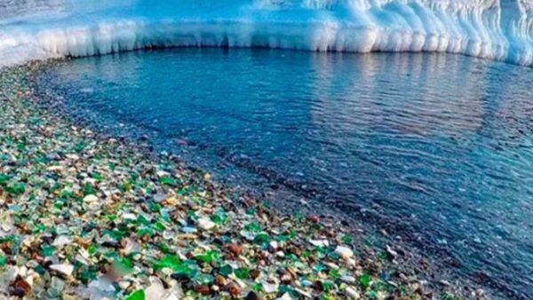 En imágenes: así es la Bahía de Ussuri, luego de ser un basurero al aire libre