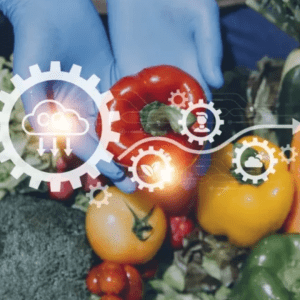 Qué hace la Argentina para impulsar los alimentos “carbono neutrales”