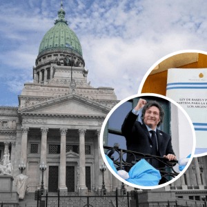 Ley Bases y Ambiente: Cómo impacta la normativa aprobada en los recursos naturales del país