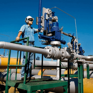 Cuáles son los “objetivos core” de una de las mayores transportadoras de gas de la Argentina