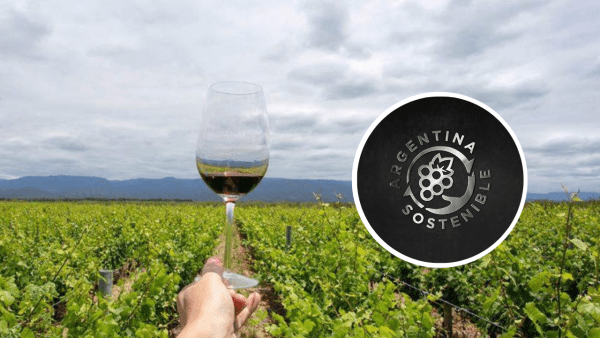 Argentina da un paso clave para que la industria vitivinícola sea más sostenible