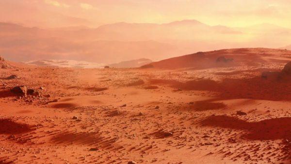 Científicos hallaron una planta que podría sobrevivir en el suelo de Marte