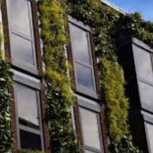 Saint-Gobain promueve el Etiquetado Energético y la sostenibilidad en la construcción