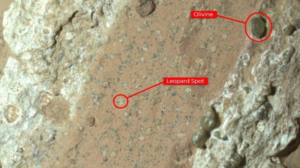 Hallaron una roca en Marte que tiene marcas de posible vida microbiana