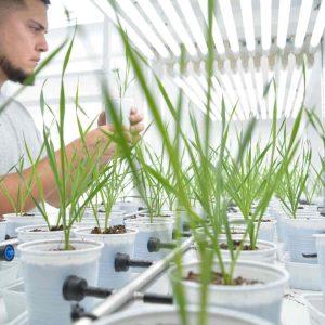 Un gigante del campo se une a un proyecto clave para promover la agricultura regenerativa