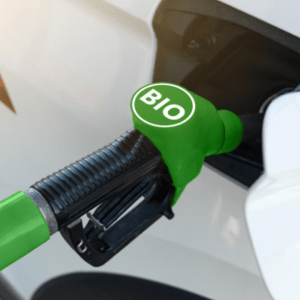 Un biocombustible del agro proyecta inversiones por u$s400 millones en el corto plazo