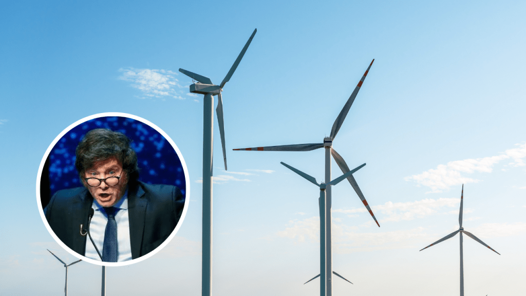 Desconcierto en el sector de las energías renovables por una medida ordenada por Milei