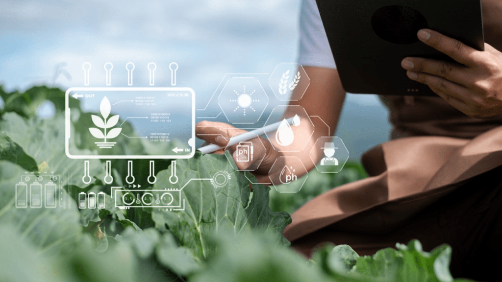 Europa adopta el etiquetado digital de fertilizantes: por qué es más eco-friendly