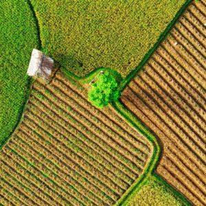 La Argentina, lejos de contar con un mercado de carbono atractivo y seguro para las inversiones