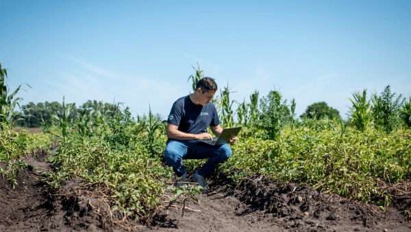 Así EDRA transforma la agricultura sostenible en activos digitales climáticos