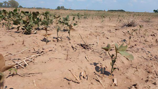 Por qué se podría reducir el PBI de América latina en un 12,5% para 2050