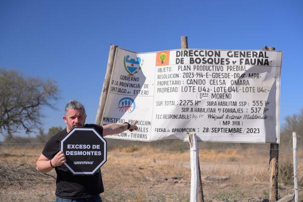 Los dueños de Manaos, en problemas: Greenpeace denuncia otro desmonte en Santiago del Estero