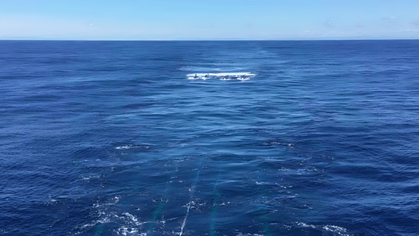 Una falla en el Océano Pacífico está partiendo a la Tierra en dos desde adentro