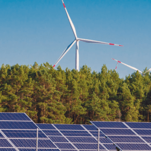 Qué es CAMMESA y cómo funciona esta empresa de energía