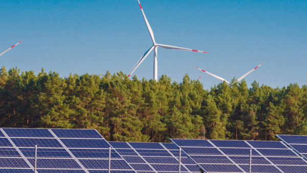 Qué es CAMMESA y cómo funciona esta empresa de energía