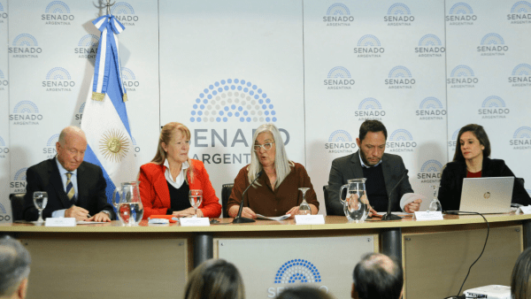 Debatieron en el Senado los desafíos ambientales a 30 años de la reforma constitucional