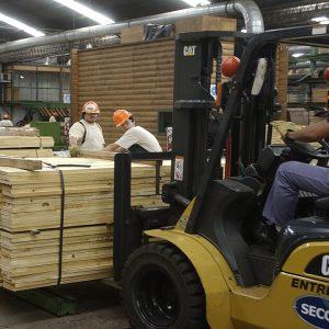 Argentina prepara “madera amigable” para exportar a Europa