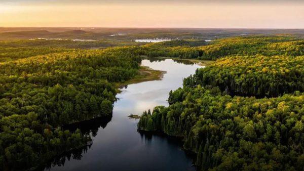 Un reconocido músico argentino fue nombrado embajador de la ONU para el medioambiente