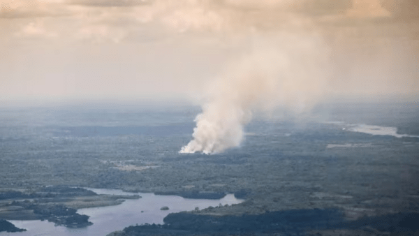 El Parlamento Europeo demanda que la UE asuma su responsabilidad en la deforestación y los incendios del Amazonas