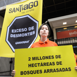 Santiago del Estero: denuncian que se desmontaron 2 millones de hectáreas en los últimos 25 años