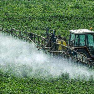 Por qué la mezcla de agroquímicos es más peligrosa que las sustancias individuales